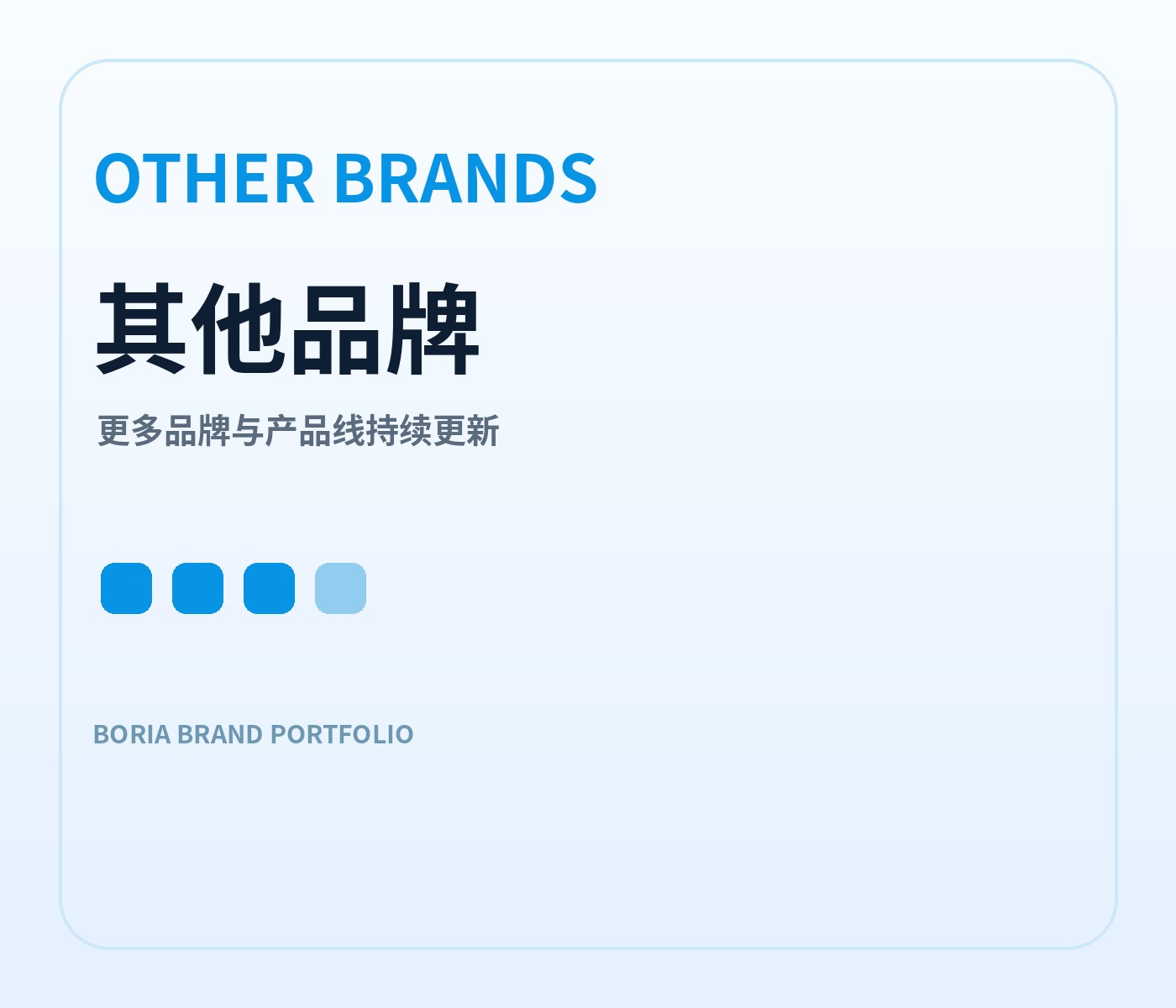 其他品牌