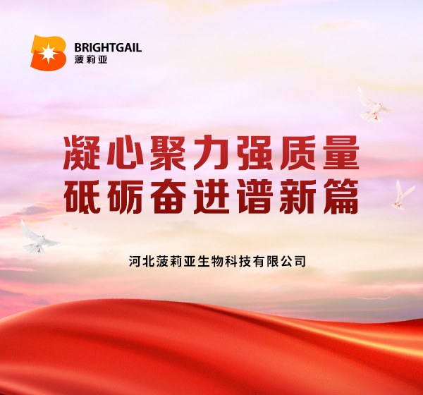 凝心聚力强质量 砥砺奋进谱新篇