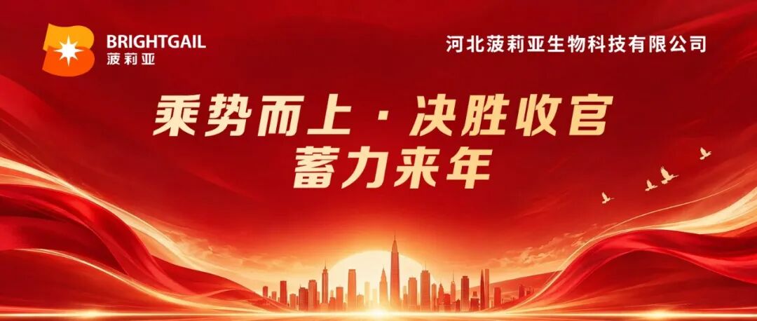 《乘势而上·决胜收官丨菠莉亚公司四季度销售会议圆满召开，锚定目标，蓄力来年》